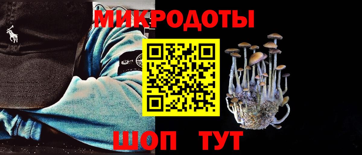 Галлюциногенные грибы Psilocybine cubensis Похвистнево