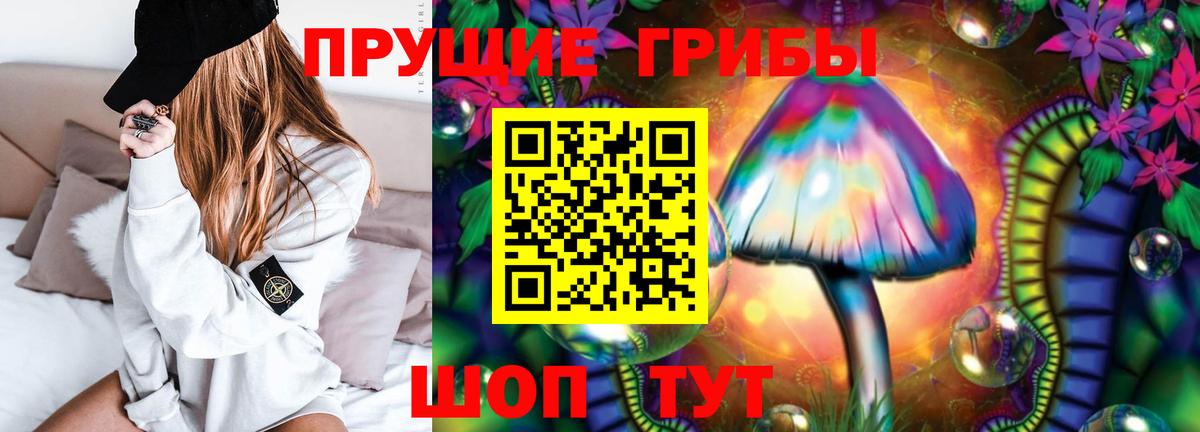Похвистнево  Псилоцибиновые грибы Psilocybine cubensis  Галлюциногенные грибы Psilocybine cubensis  Вход с VPN 